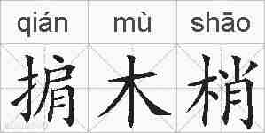掮木梢的拼音