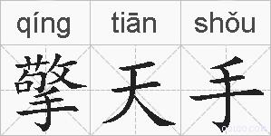 擎天手的拼音