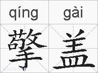 擎盖的拼音