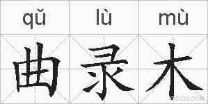 曲录木的拼音