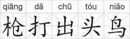 枪打出头鸟的拼音