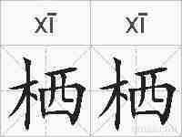 栖栖的拼音