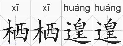 栖栖遑遑的拼音