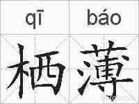 栖薄的拼音