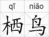 栖鸟的拼音