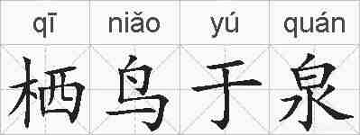 栖鸟于泉的拼音