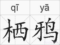 栖鸦的拼音