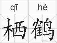 栖鹤的拼音