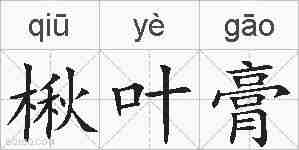 楸叶膏的拼音