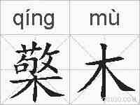 檠木的拼音