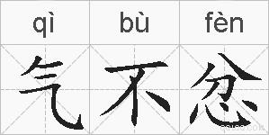 气不忿的拼音