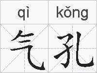 气孔的拼音