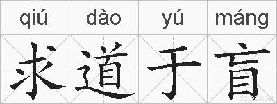 求道于盲的拼音