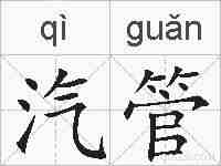 汽管的拼音