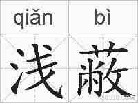 浅蔽的拼音