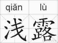 浅露的拼音