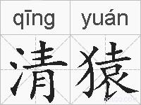 清猿的拼音