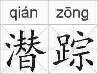 潜踪的拼音