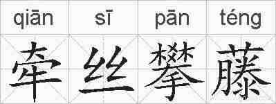 牵丝攀藤的拼音