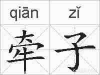 牵子的拼音