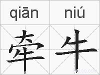牵牛的拼音