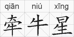 牵牛星的拼音