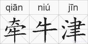 牵牛津的拼音