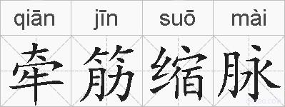 牵筋缩脉的拼音