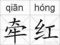 牵红的拼音