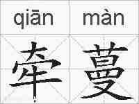 牵蔓的拼音