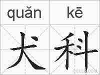 犬科的拼音