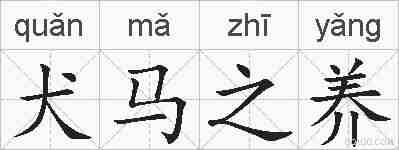 犬马之养的拼音