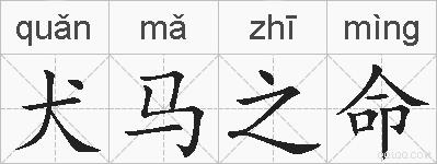 犬马之命的拼音