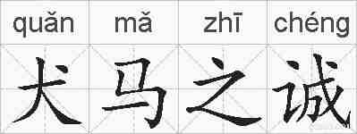 犬马之诚的拼音