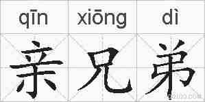 亲兄弟的拼音