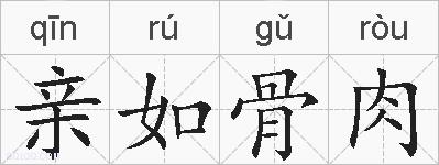亲如骨肉的拼音
