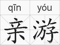 亲游的拼音