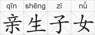亲生子女的拼音