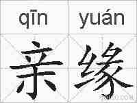 亲缘的拼音