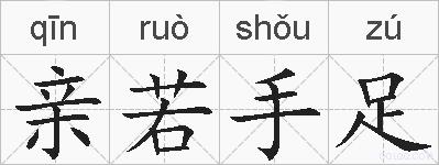 亲若手足的拼音