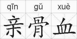亲骨血的拼音