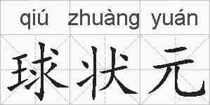 球状元的拼音