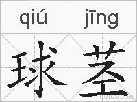 球茎的拼音