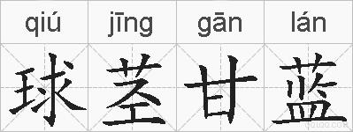 球茎甘蓝的拼音