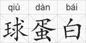 球蛋白的拼音