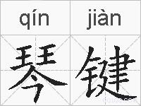 琴键的拼音