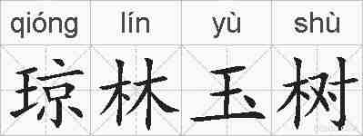 琼林玉树的拼音