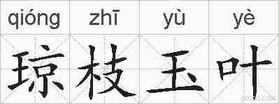 琼枝玉叶的拼音