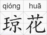 琼花的拼音