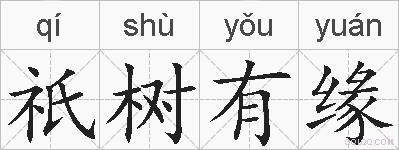 祇树有缘的拼音